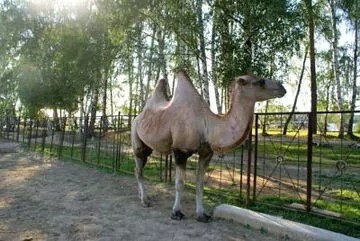 Живой уголок 3 • База отдыха ТРОИЦКОЕ